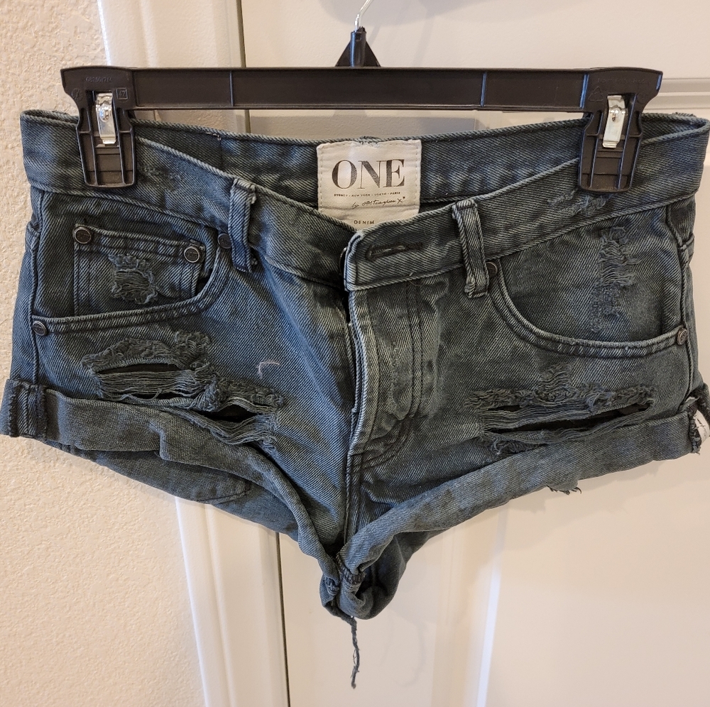One Teaspoon gray shorts